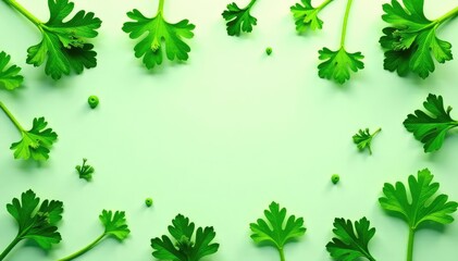 Fototapeta premium Intricate parsley sprig pattern, fresh green leaves , culinary, overhead