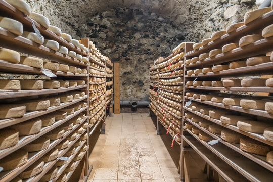 Aging cheese on wooden shelves in a maturing cellar in the Pyrenees Mountains
