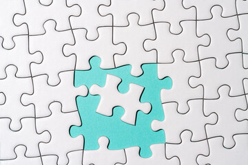 Jigsaw Puzzle