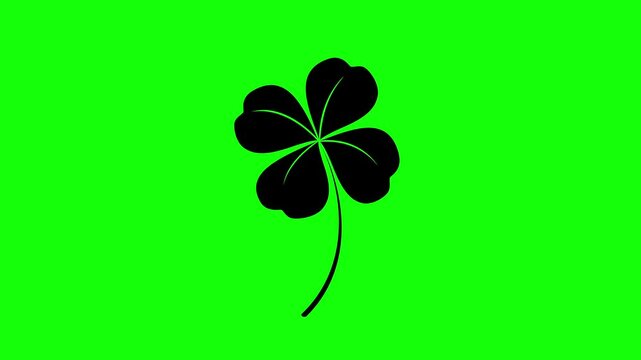 Silhouette of four leaf clover isolated on green screen background. Happy Saint Patrick's day template for composite and presentation.
