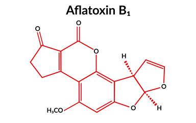 Aflatoxin B1 molecular structure formula, suitable for education or chemistry science content. Vector illustration