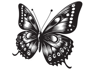 butterfly silhouette logo icon vector, flying butterfly silhouette logo, butterfly logo creative design black animal, black butterfly silhouettes on wings isolated on white background.