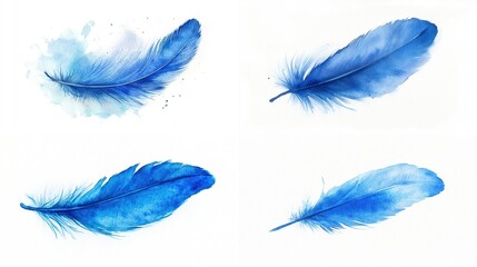 Four watercolor blue feathers isolated on white.