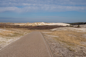 Asphalt road leading to sand dunes in national park on sunny day