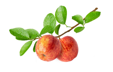 red apple with leaves