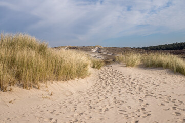 Footprints leading through sand dunes covered with beach grass on cloudy day