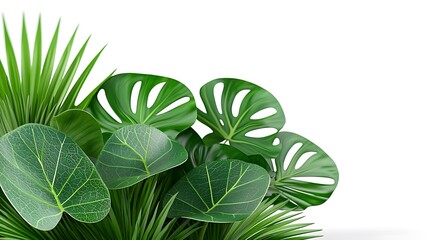 Lush tropical foliage arrangement, vibrant green leaves, isolated on white