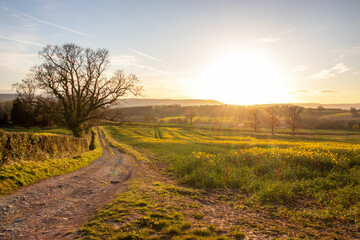 sunset in the countryside