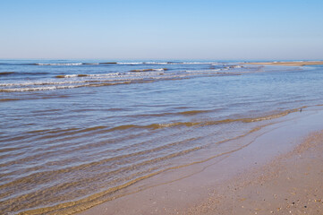 Gentle waves washing sandy beach on sunny day