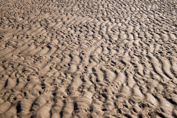 Wavy sand pattern creating a stunning natural texture on beach