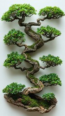 Magnificent Bonsai Tree: A Masterpiece of Miniature Nature
