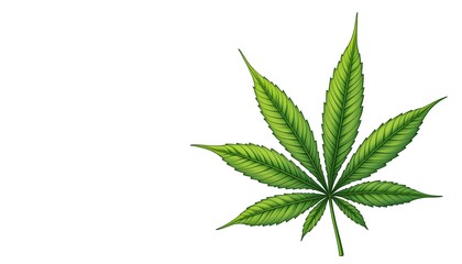 green marijuana leaves in the background