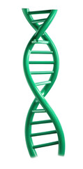 Realistic 3D illustration of a green DNA double helix symbol, isolated on a transparent background. Represents genetics, health, biotechnology, and molecular science.
