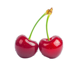 Two fresh red cherries with long green stems on Png Format and Transparent Background