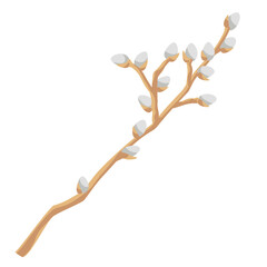 Fototapeta premium willow branche with soft fluffy catkins