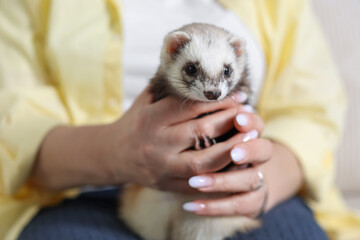 Woman with cute ferret, closeup. Domestic pet