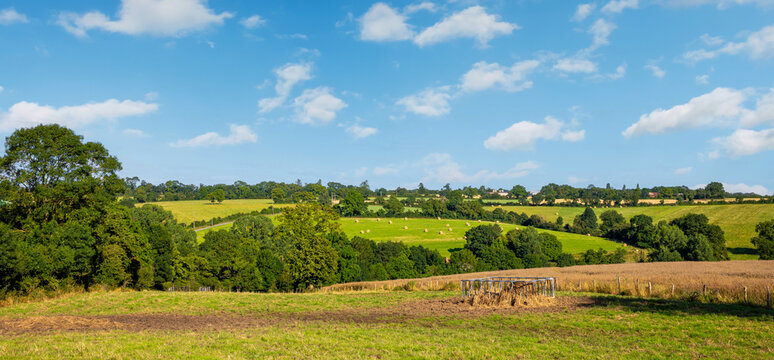 Paysage de campagne au milieux des champs vert au printemps en France.