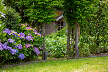 Charmant petit jardin paysag&eacute; avec ses fleurs et ses plantes vertes au printemps.
