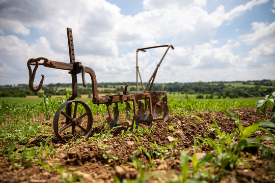 Machine agricole pendant les moissons du bl&eacute; en &eacute;t&eacute; en France.