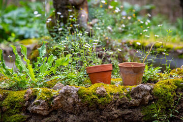 Charmant petit jardin paysag&eacute; avec ses fleurs et ses plantes vertes au printemps.