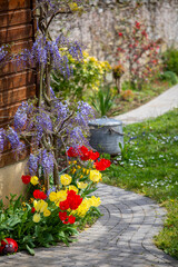 Charmant petit jardin paysag&eacute; avec ses fleurs et ses plantes vertes au printemps.