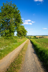 Paysage et campagne au printemps dans les champs de France.