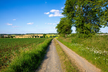Paysage et campagne au printemps dans les champs de France.
