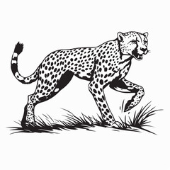 Cheetah gracefully walking in the savannah Image vector isolated on white background.