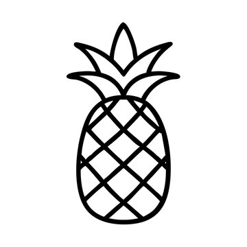 pineapple outline icon, isolated vector illustration