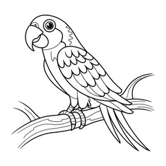 Fototapeta premium Parrot Line Art - Black and White Bird Coloring Page