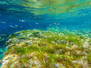 Dark blue ocean surface seen from underwater. Abstract waves underwater and rays of sunlight shining through, Sun light rays undersea deep, Underwater background with sea bottom, Mediterranean sea.