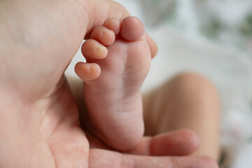 newborn baby foot