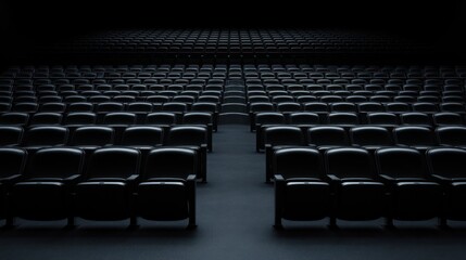 Naklejka premium Empty Theater Seats: A Dark and Silent Auditorium