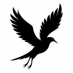 Flying beautiful bird silhouette vector