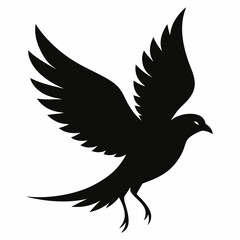 Flying beautiful bird silhouette vector
