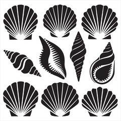 set vector various Seashell silhouettes