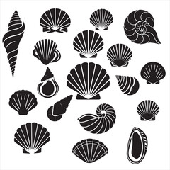 set vector various Seashell silhouettes