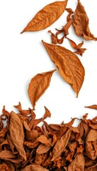 Fototapeta premium Dried tobacco leaves, brown and brittle, isolated on pure white, ingredient, element