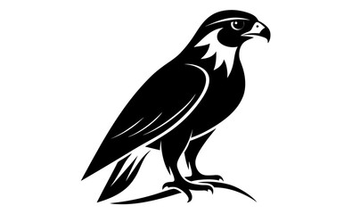 Falcon silhouette, black bird vector illustration