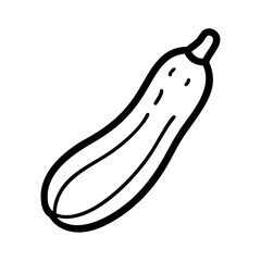 Fresh Zucchini in Outline Style for Healthy Cooking  