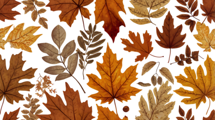 Autumn Leaves PNG. High Quality Transparent Fall Foliage Background. Realistic Autumn Leaves PNG