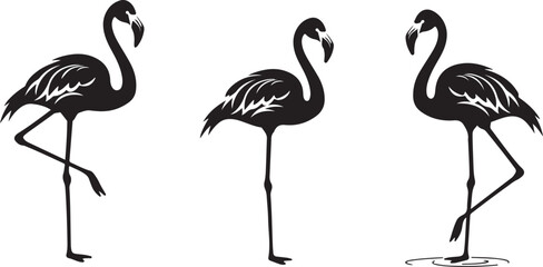 Obraz premium Flamingo Icons, Perfect for Nature and Tropical Themes - Flat Vector Illustration 