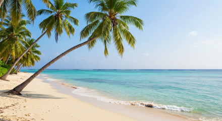Obraz premium Tropical beach with palm trees and clear blue water