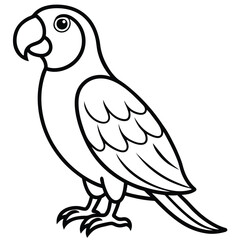 Parrot isolated on white background