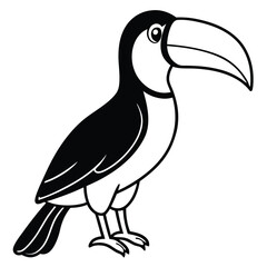 Toucan isolated on white background