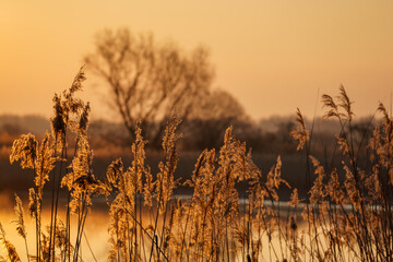 Słoneczny poranek nad Stawami Dojlidzkimi, Podlasie, Polska © podlaski49
