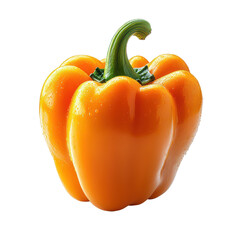 Single orange bell pepper isolated on white background