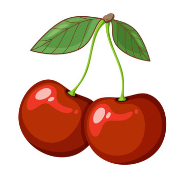 recommend clip art: cherry vector illustration