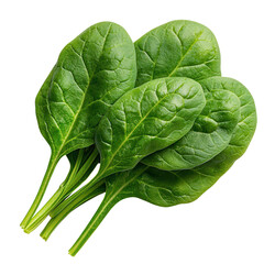 Fototapeta premium Fresh Organic Spinach Leaves Stacked Neatly on White Background for Healthy Cooking