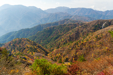 Fototapeta premium Autumn leaves at Mt.Shaka-ga-take